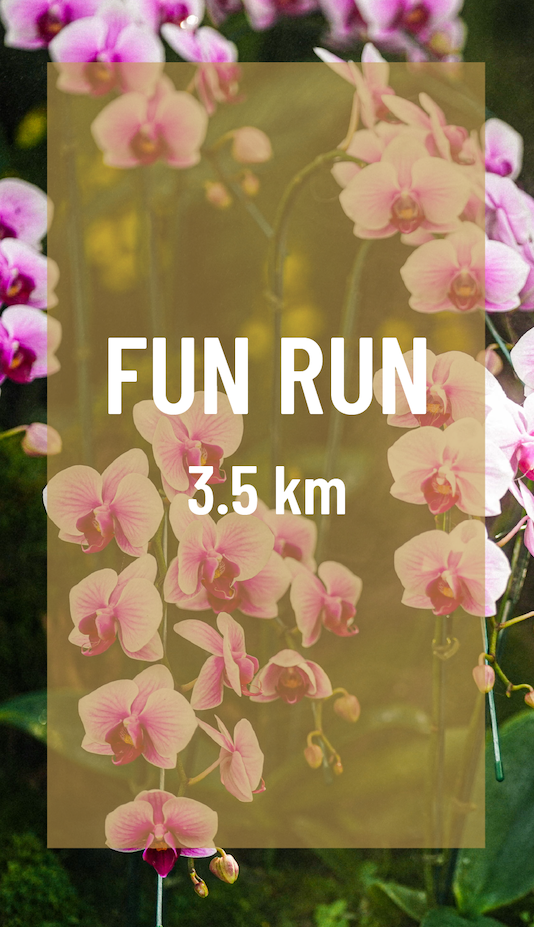 3.5KM Fun Run